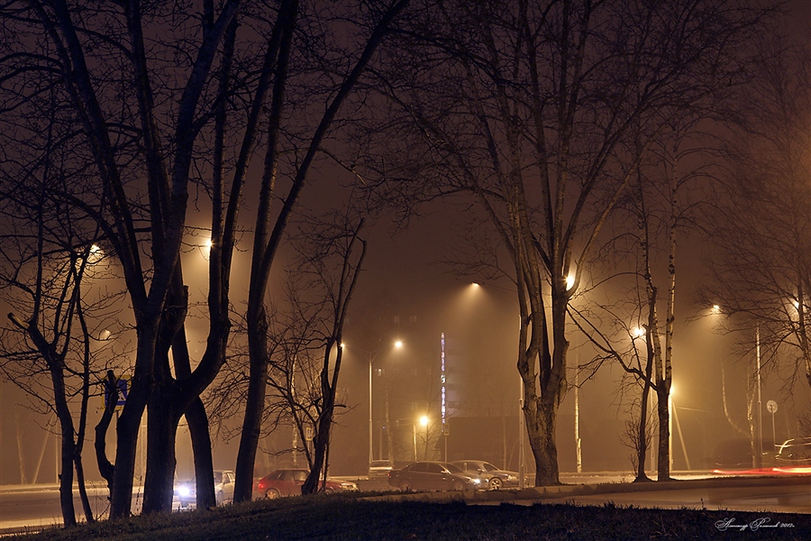 Фото жизнь