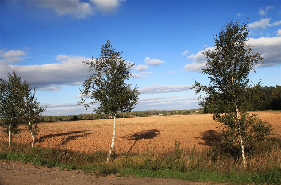 Фото жизнь