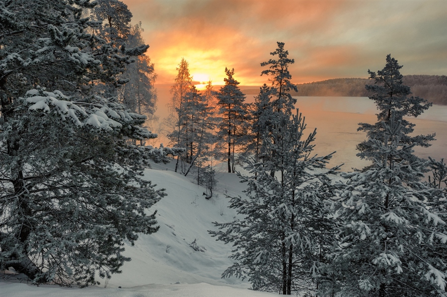 Фото жизнь