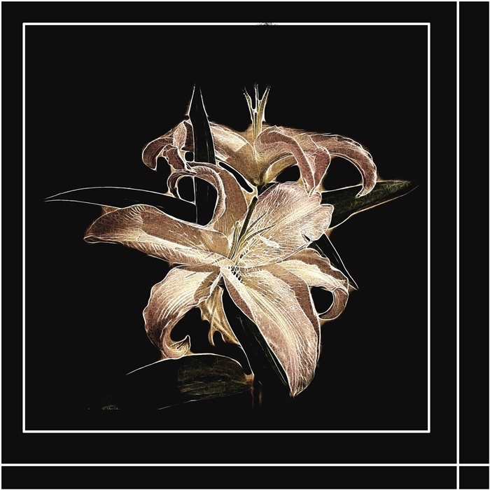 Лилейное настроение