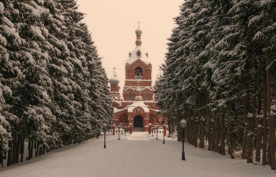 Фото жизнь