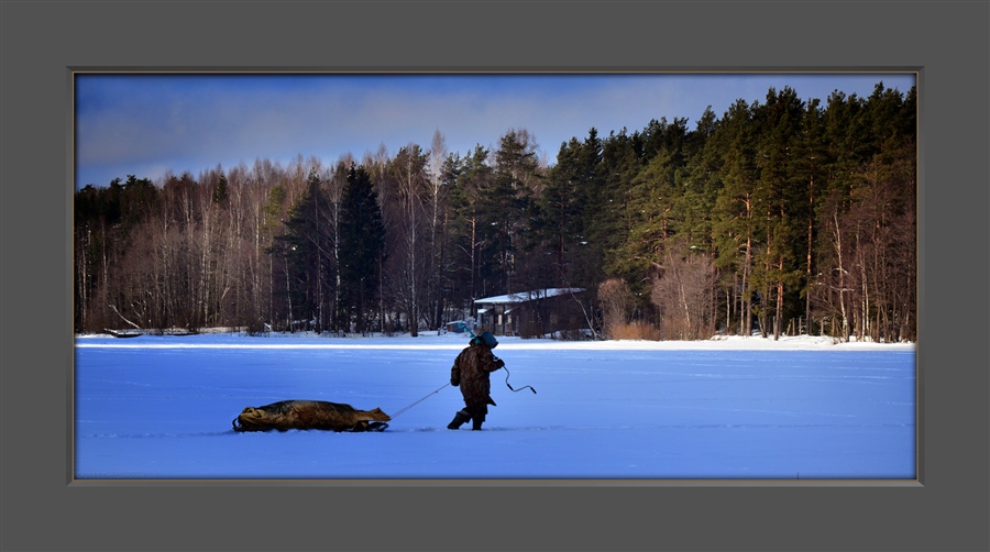 Фото жизнь