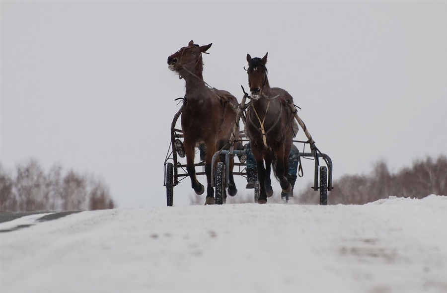 Фото жизнь