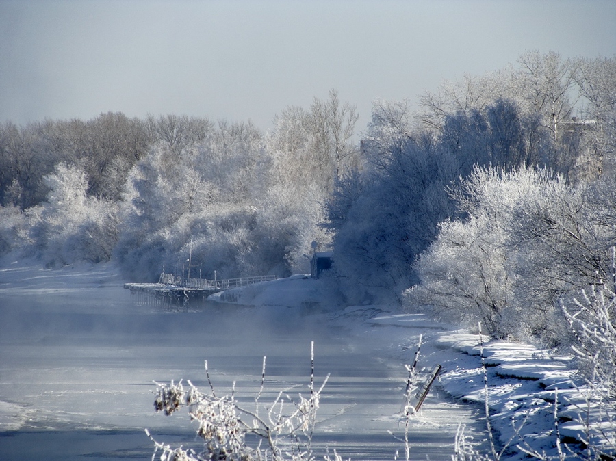 Фото жизнь