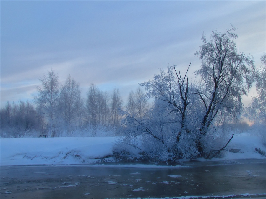 Фото жизнь