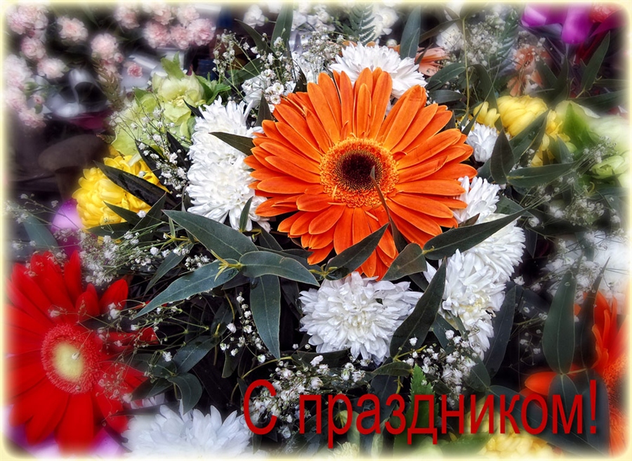 Фото жизнь