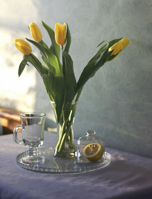 Фото жизнь - Lilliya - корневой каталог - С желтыми тюльпанами...