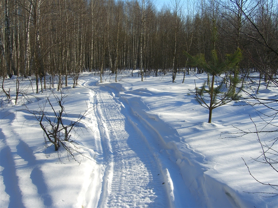 Фото жизнь
