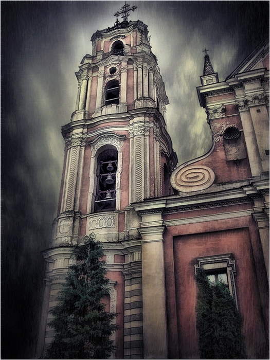 Фото жизнь
