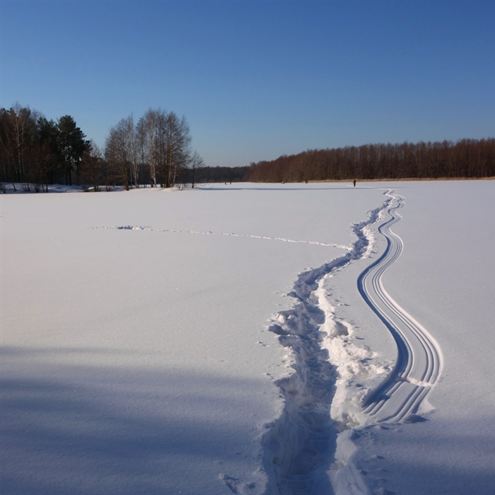 Фото жизнь