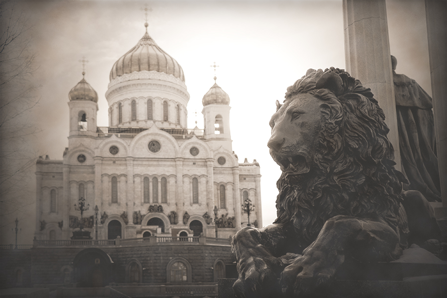 Фото жизнь