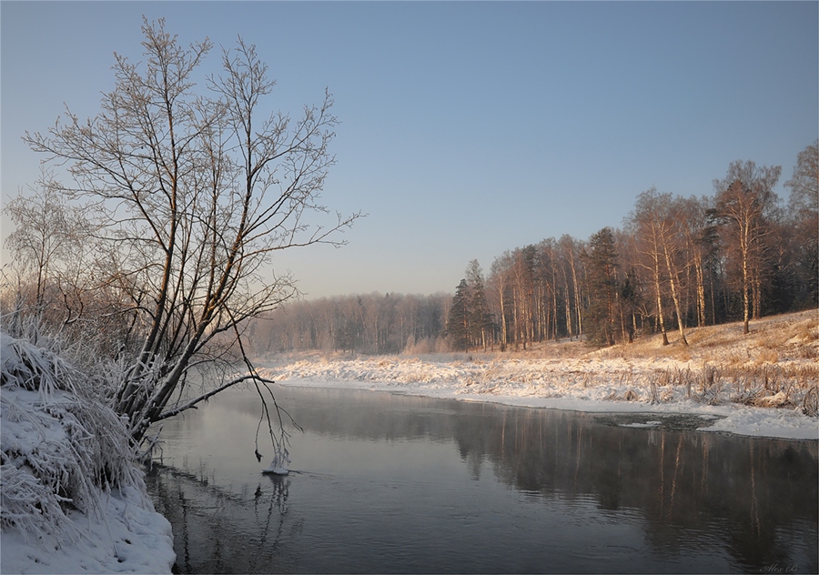Фото жизнь