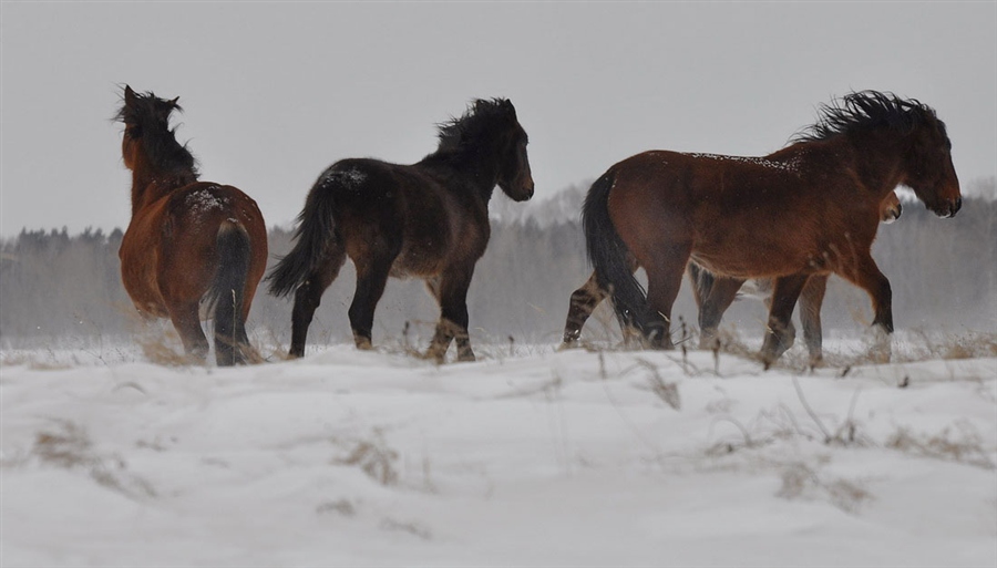 Фото жизнь