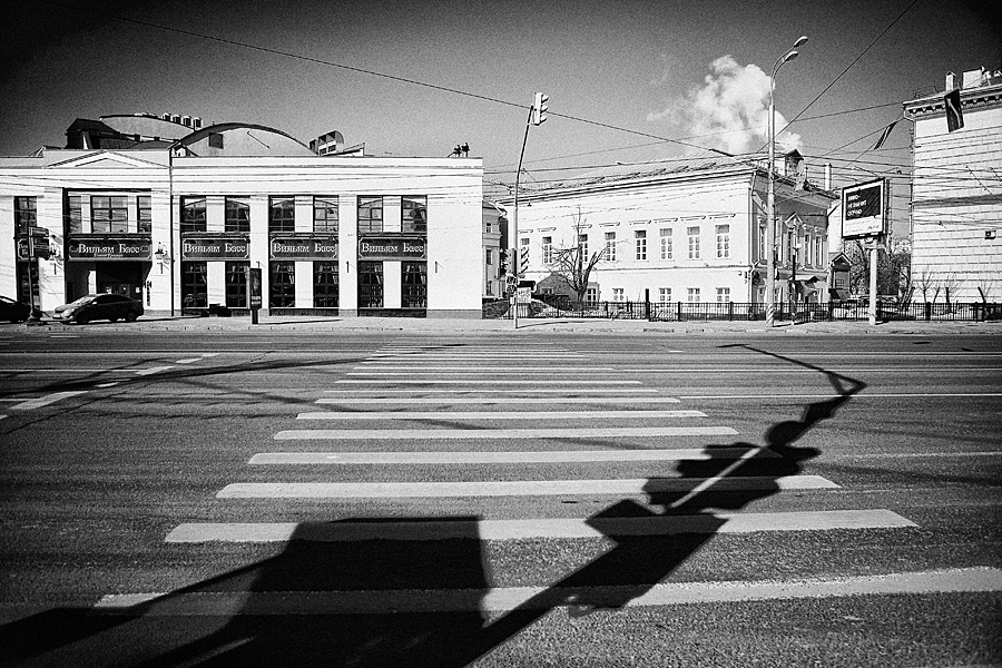 Фото жизнь (light) - Александр Клёнов - Разное - О зебре и светофоре