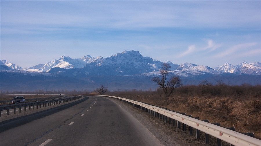 Фото жизнь