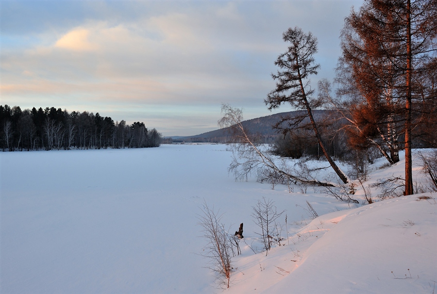 Фото жизнь