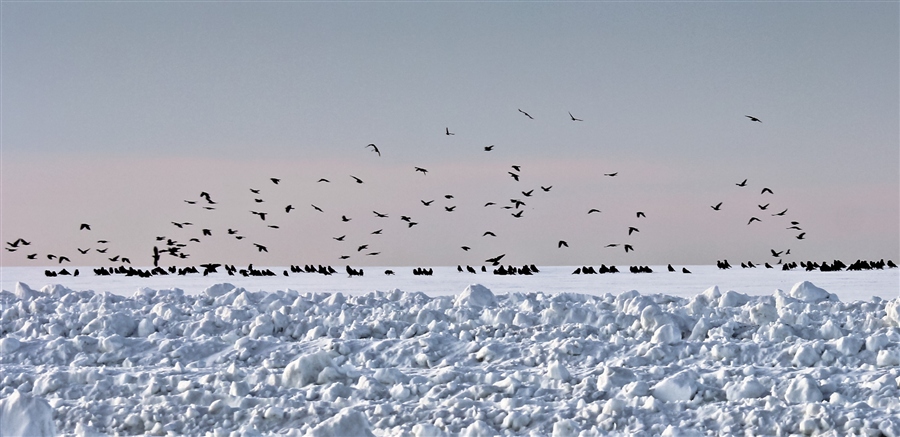 Весна не проходила?