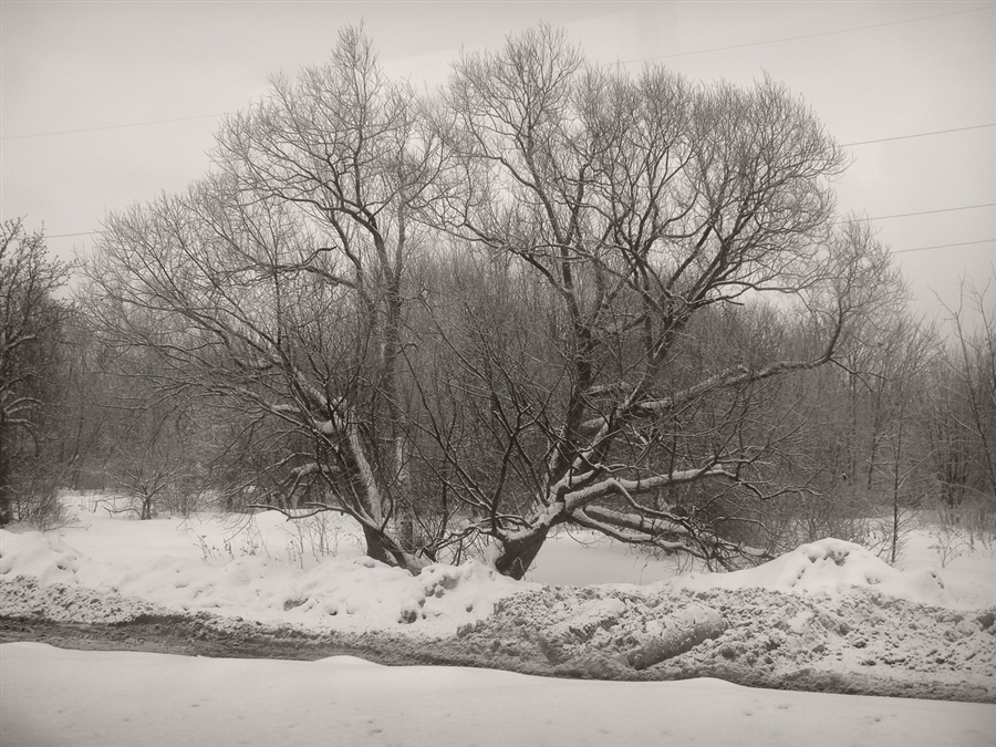 Фото жизнь
