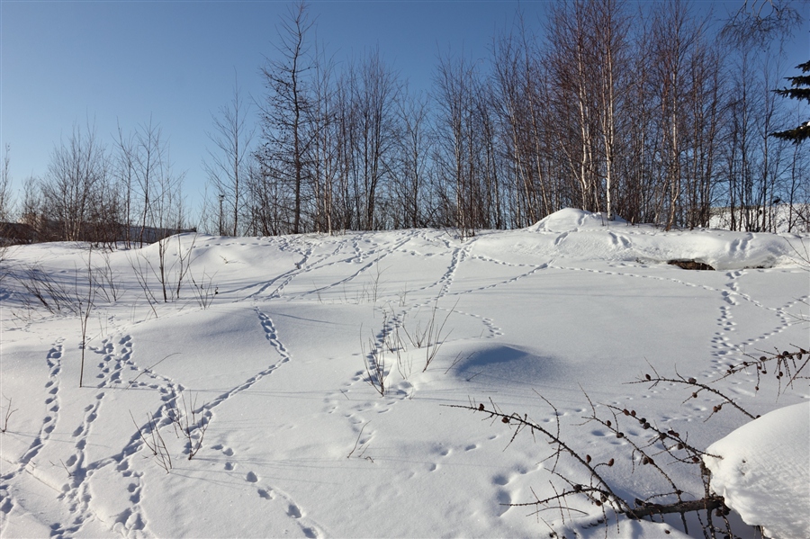 Фото жизнь