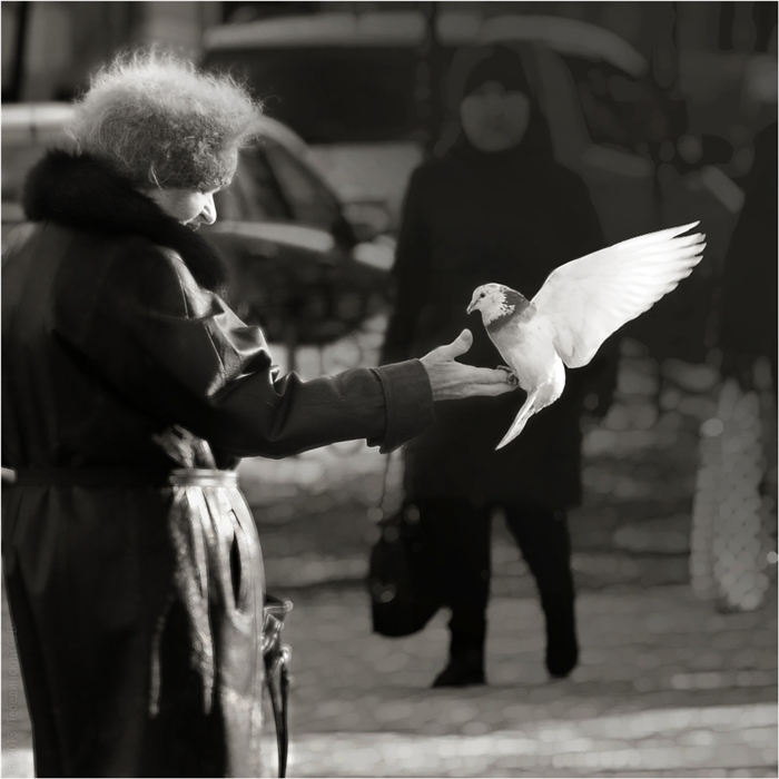 Фото жизнь