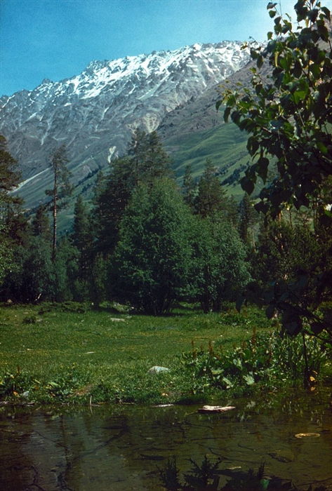 Фото жизнь