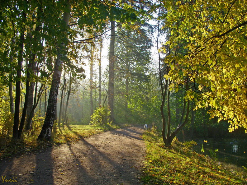 Фото жизнь (light) - tzypliatnikov_iu - корневой каталог - Утро в Шуваловском парке
