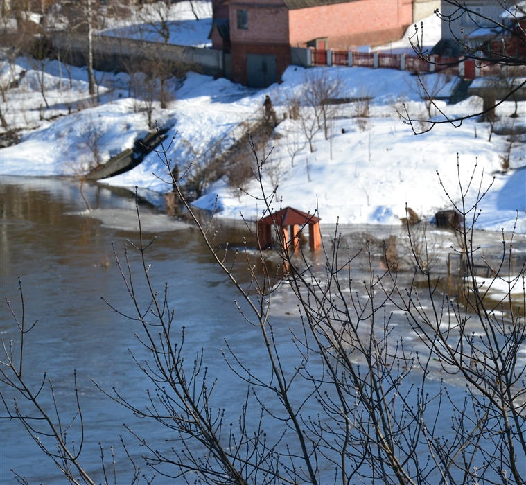 Фото жизнь