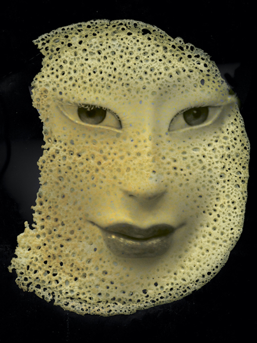 Фото жизнь (light) - Вероника Касаткина - корневой каталог - блинок!!!