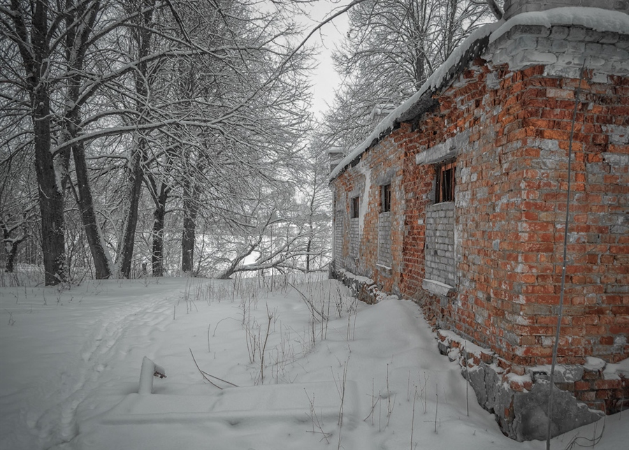 Фото жизнь