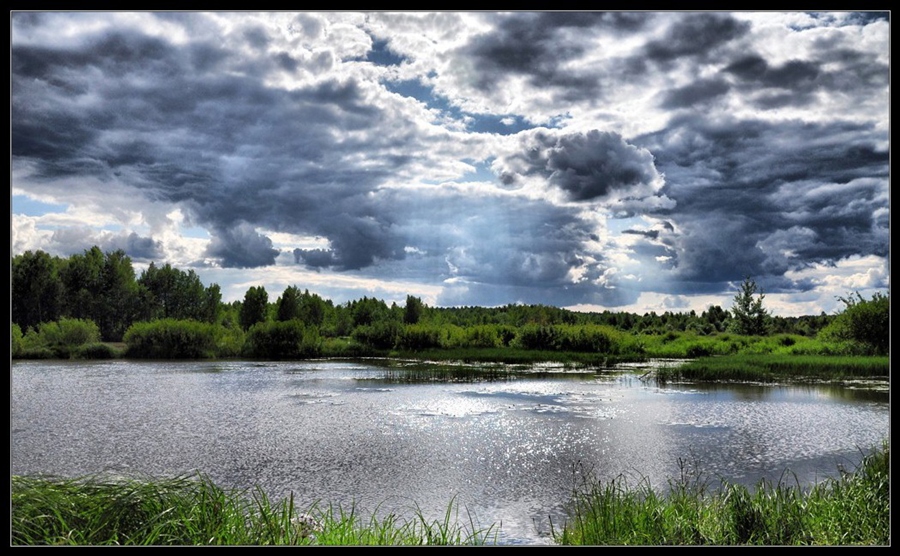 Фото жизнь