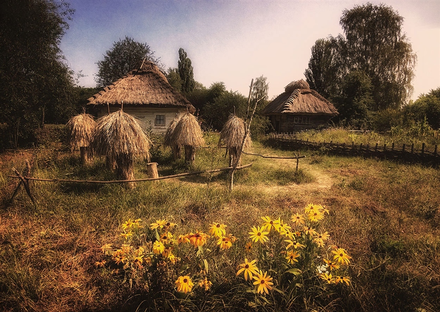 Фото жизнь