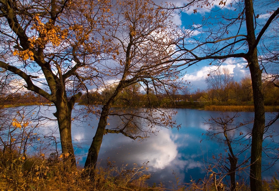 Фото жизнь