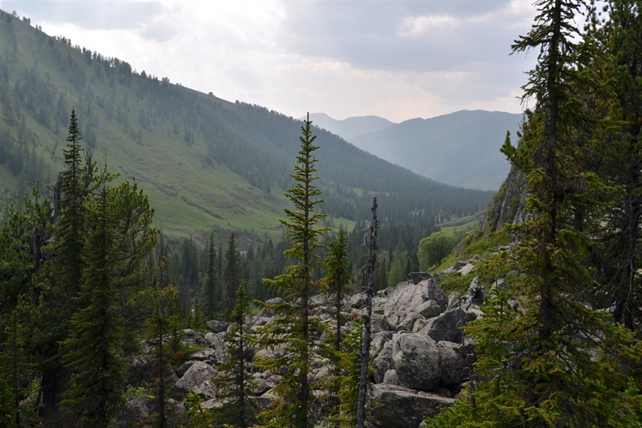 Фото жизнь
