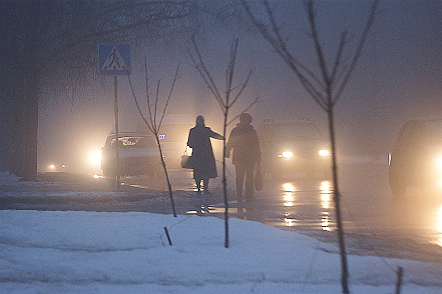 Фото жизнь