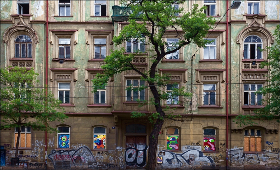 Фото жизнь