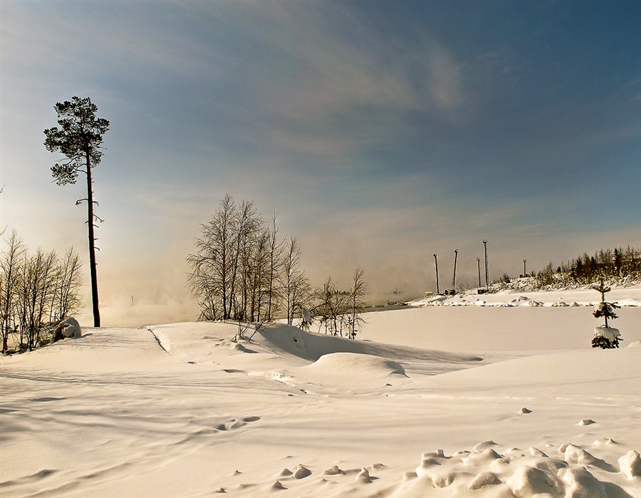 Фото жизнь
