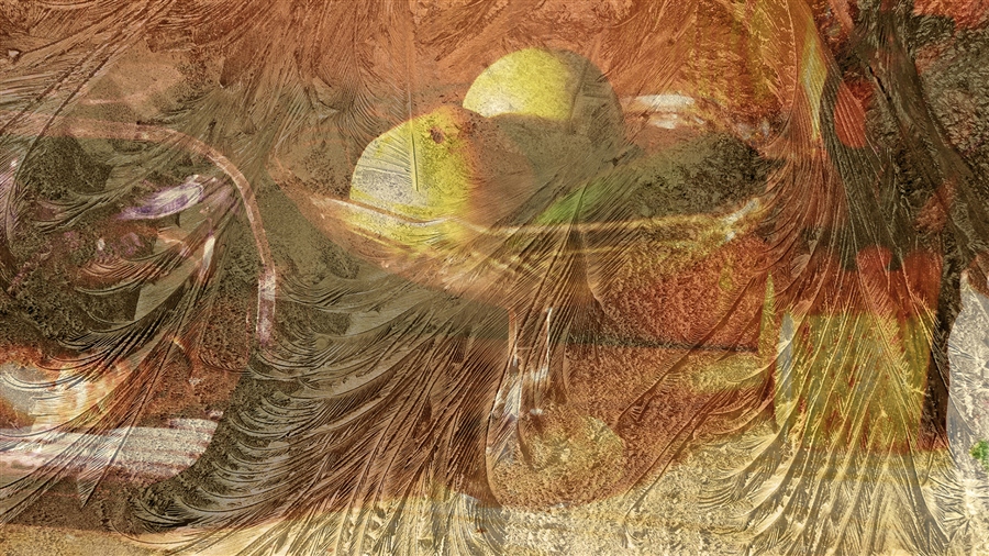 Still life