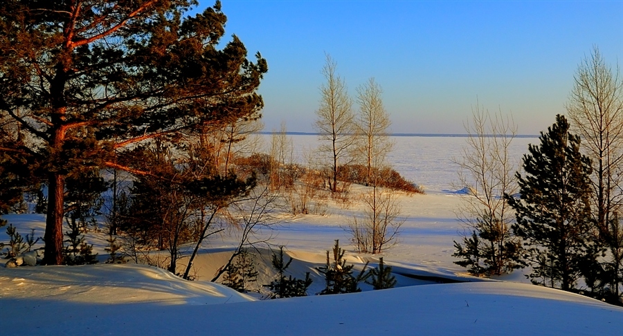 Фото жизнь