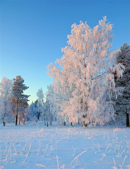 Фото жизнь