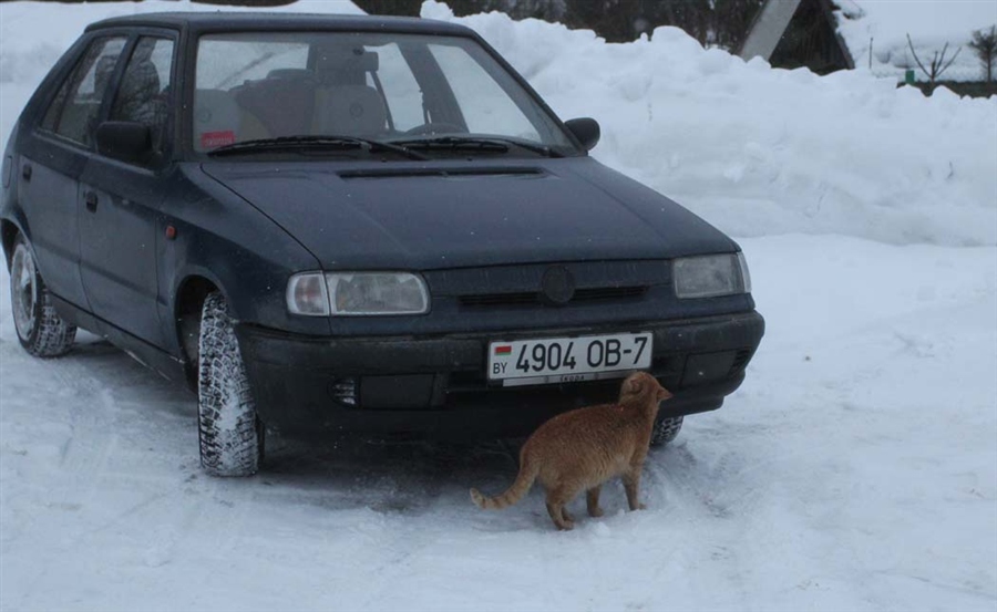 Фото жизнь