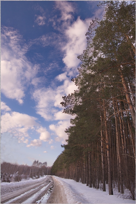 Фото жизнь