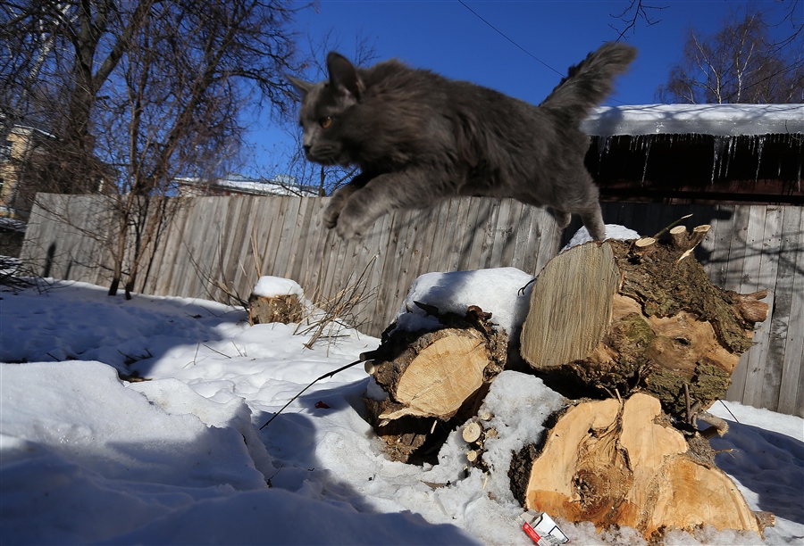 Фото жизнь