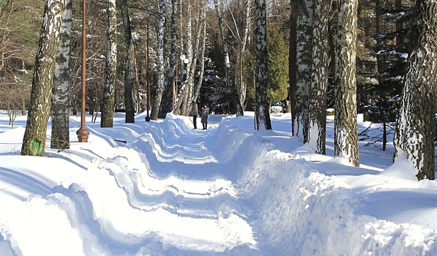 Ультрамариновые тени.