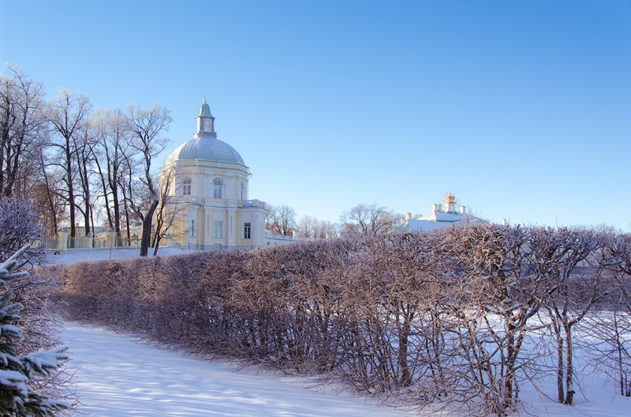 Фото жизнь