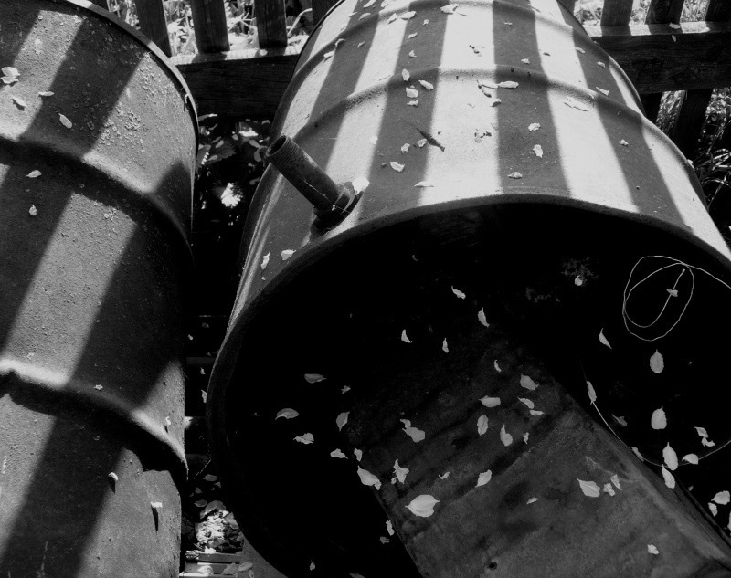 Фото жизнь (light) - serenata - корневой каталог - яблоневый цвет