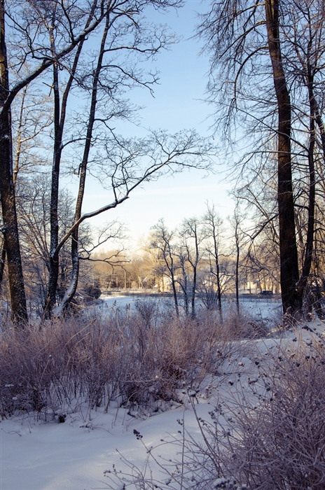 Фото жизнь