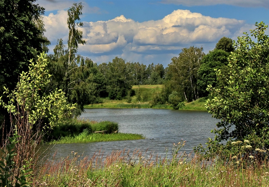 Фото жизнь