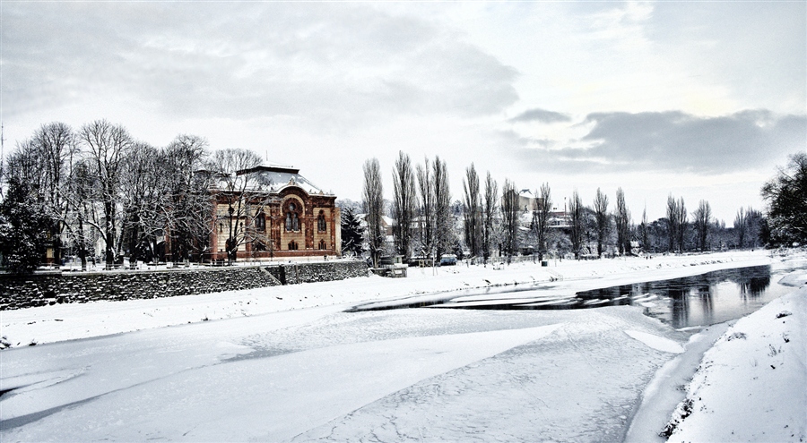 Фото жизнь