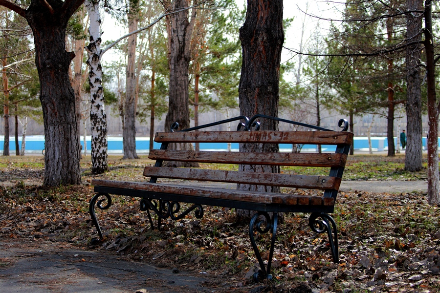 Фото жизнь