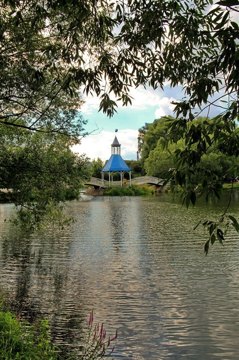 Фото жизнь